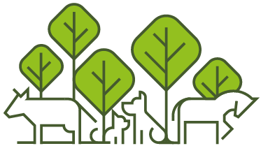 LOGO-ST_Plan de travail 1