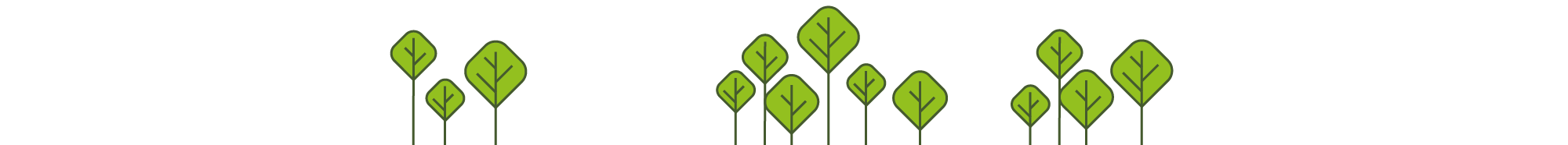 ARBRES_Plan de travail 1