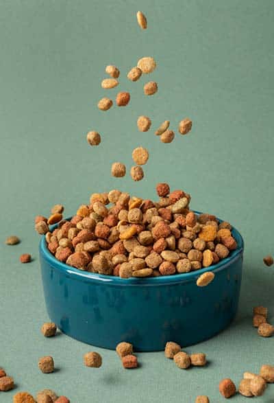 gabari_0004_domestic-pet-food-composition