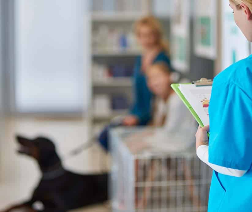 gabari_0005_doctor-asking-next-client-from-the-queue